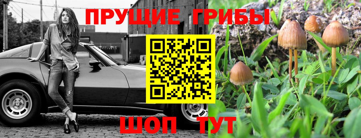 Галлюциногенные грибы Cubensis  Вход с VPN  Новотроицк 