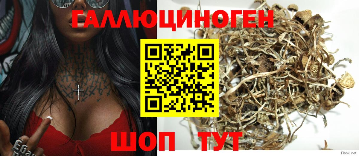 Галлюциногенные грибы мицелий Новотроицк